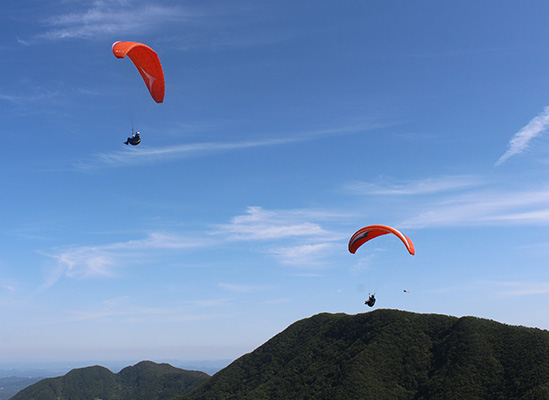 �з��۶��̴�